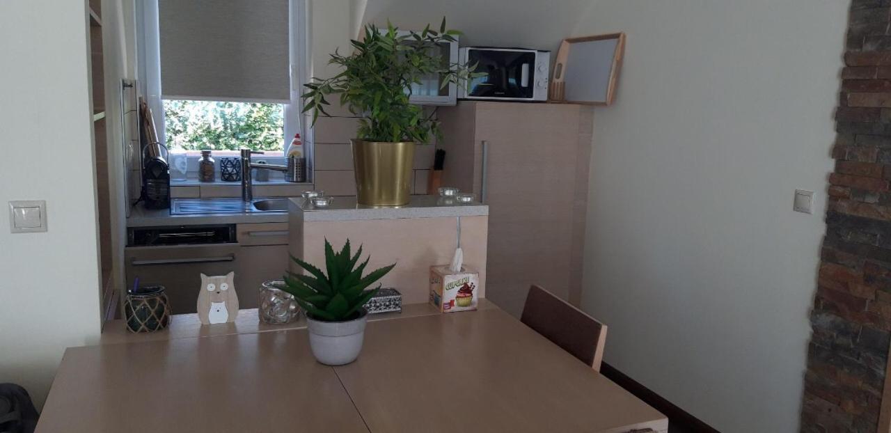 Apartman , View, Spacious Wellness, , 50m